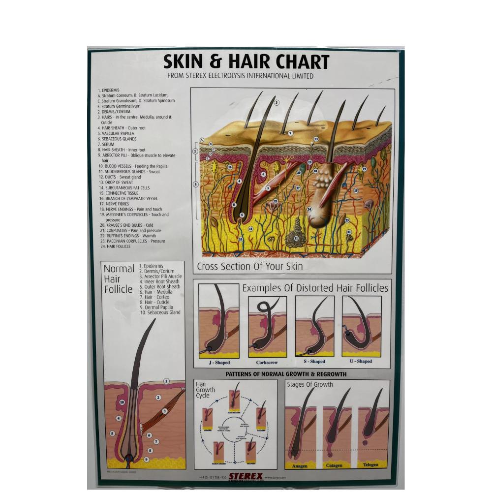 Sterex Skin & Hair Chart A2