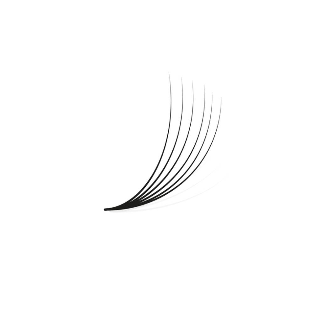 LashBase Pro Made Fans 6D 0.05 D Curl (11-13mm)