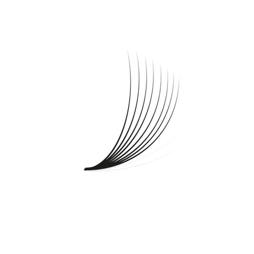 LashBase Pro Made Fans 8D 0.05 D Curl (11-13mm)