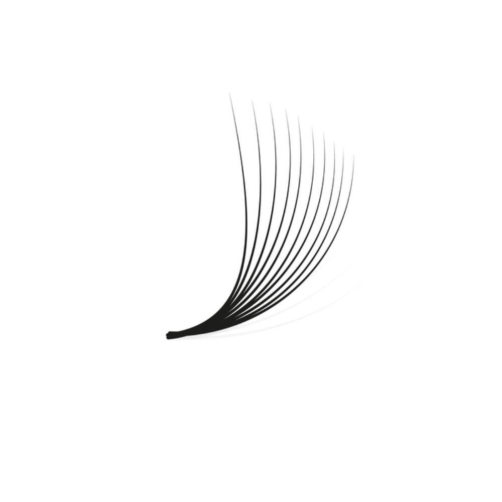LashBase Pro Made Fans 10D 0.04 C Curl (8-10mm)