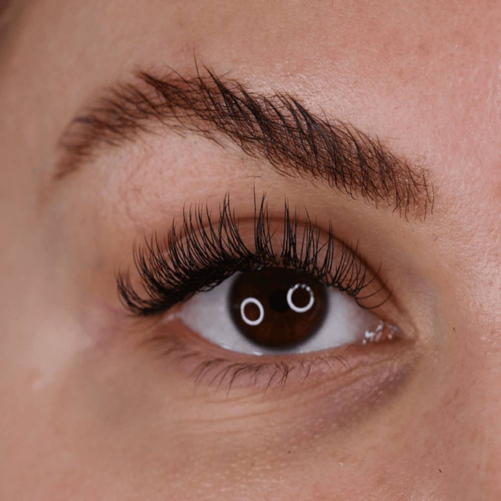 LashBase Enhance Collection Lashes 0.07mm D Curl (8-15mm)