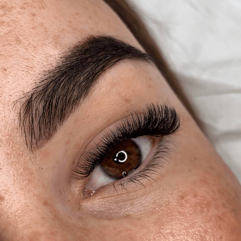 LashBase Enhance Collection Lashes 0.05mm D Curl (8-15mm)