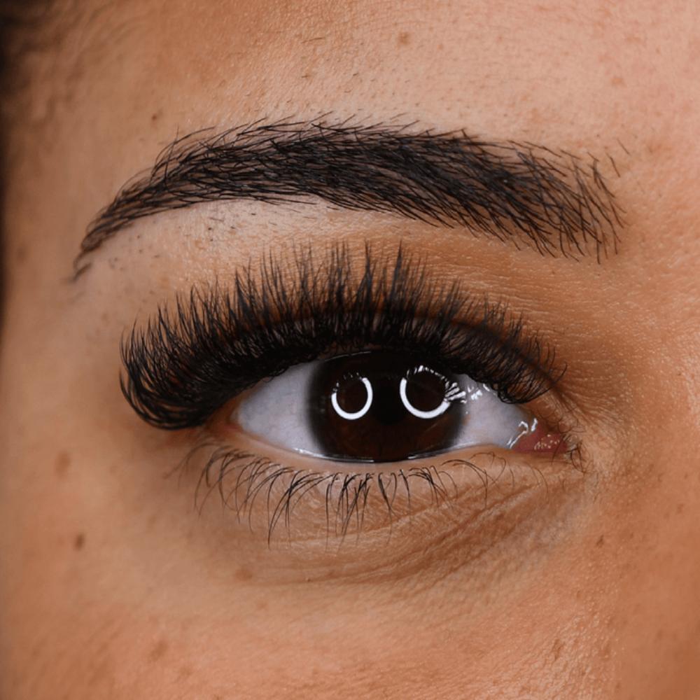 LashBase Enhance Collection Lashes 0.03mm D Curl (8-15mm)