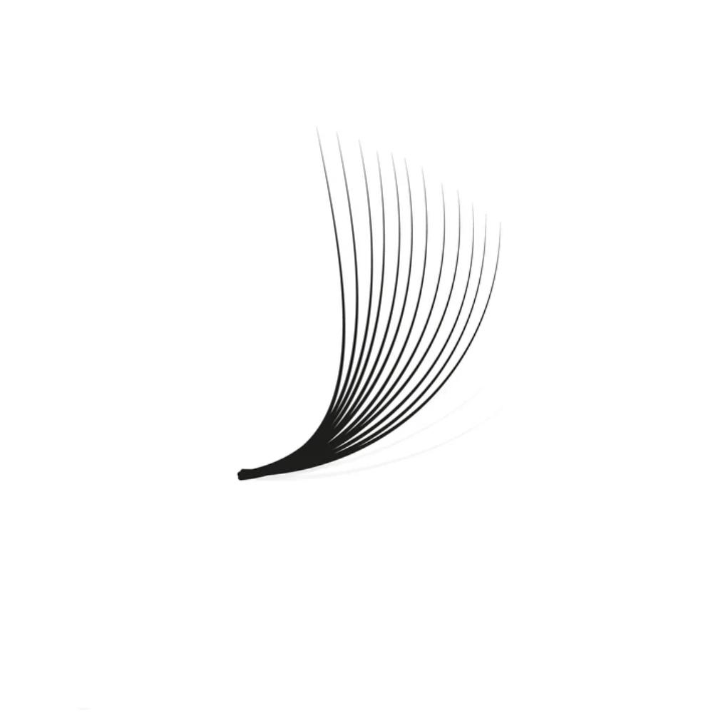 LashBase Pro Made Fans 12D 0.04 CC Curl (11-13mm)