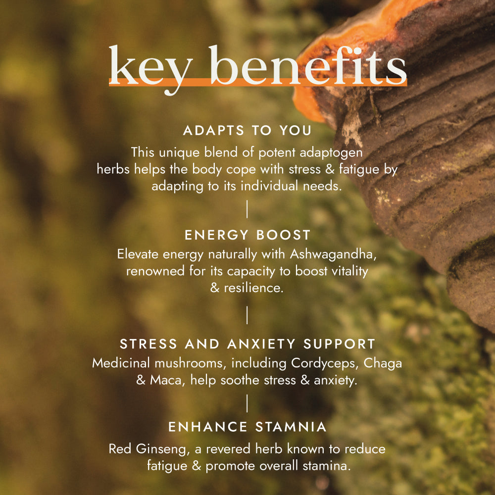fushi Adaptogen Energy Blend (60)