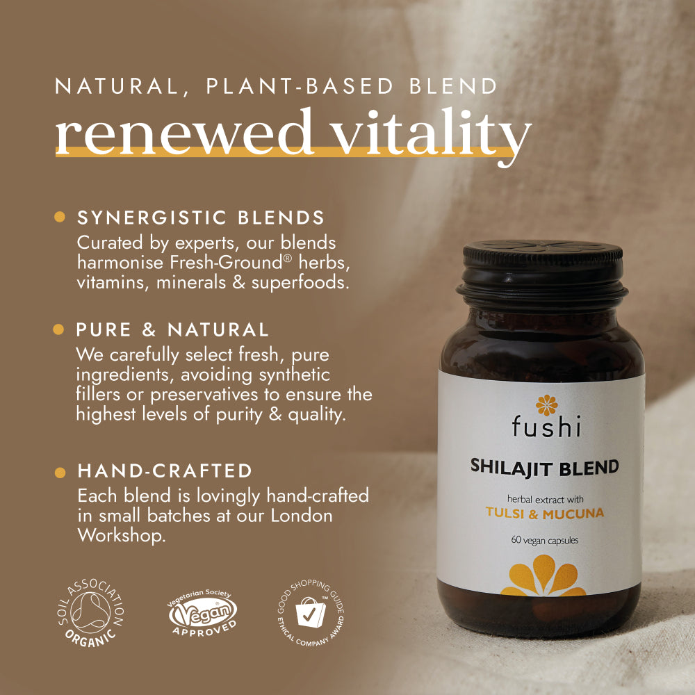 fushi Shilajit Blend (60)