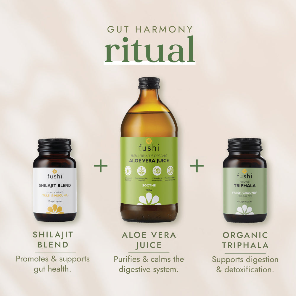 fushi Shilajit Blend (60)