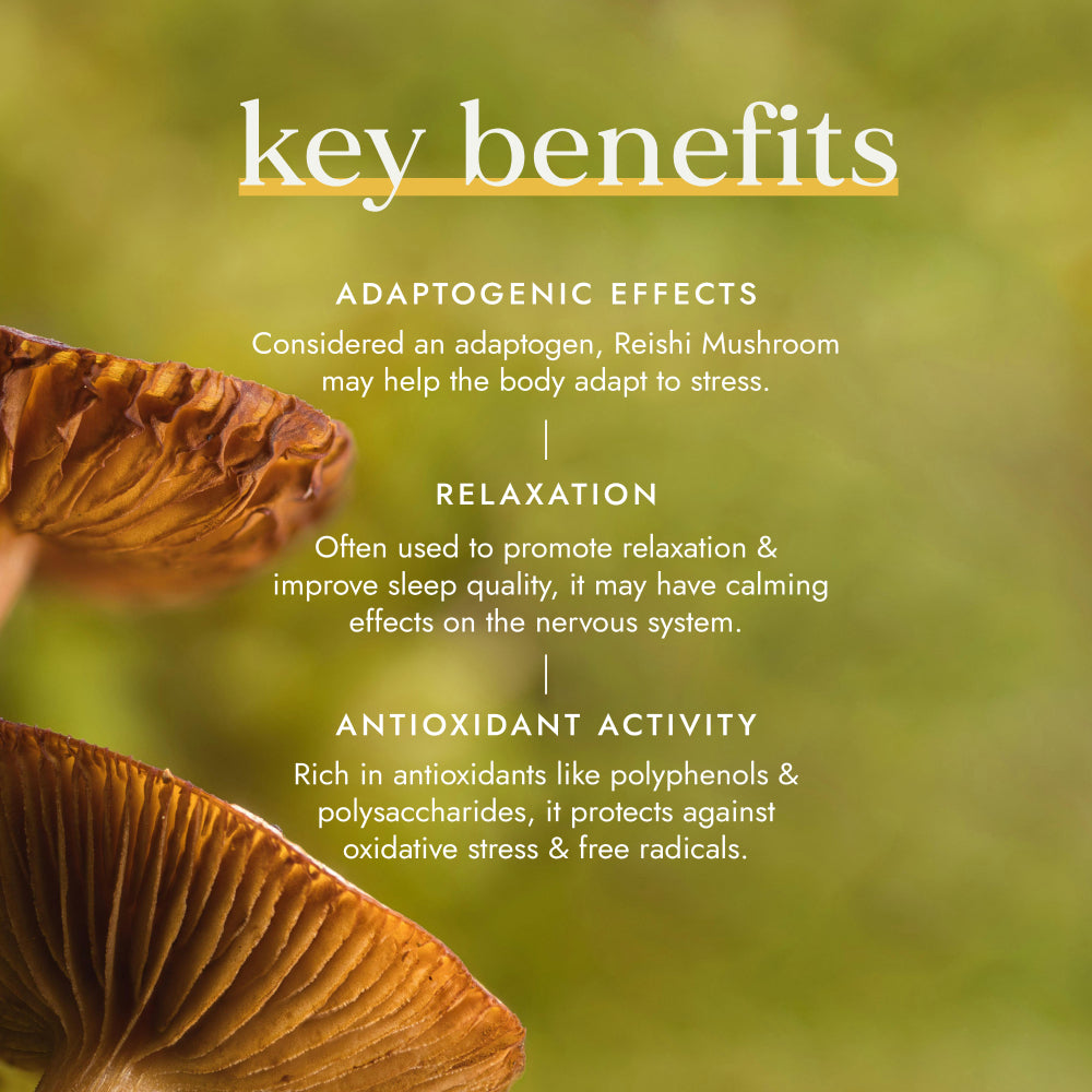 fushi Organic Reishi Mushroom (60)