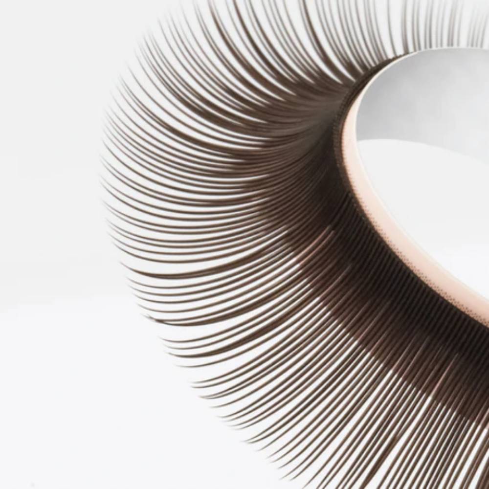 Tatti Lashes Chocolate Brown Classic Lashes CC Curl (8-15mm)