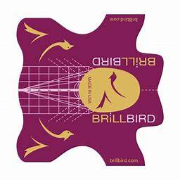 Brillbird Nail Forms Medium