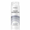 Montibello Colour Resurrection Ice Silver 150ml