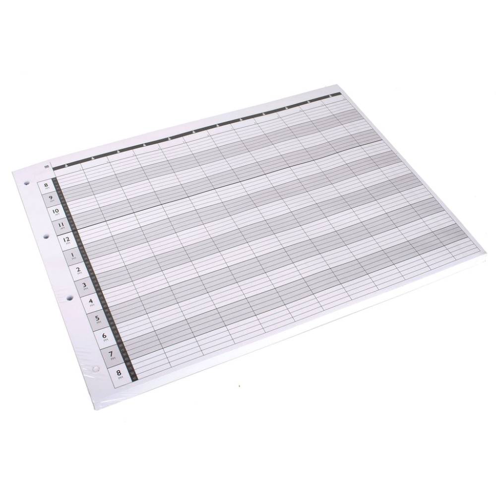 Agenda LL12 Loose Leaf Refill 12 Column (100)