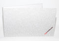 Agenda Ring Binder 12 Column Assistant