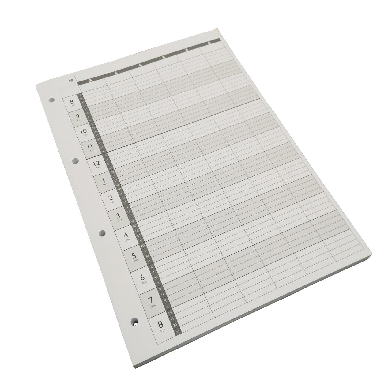 Agenda Loose Leaf Appointment Refill Pages 6 Column 4 Hole LL6 (100)