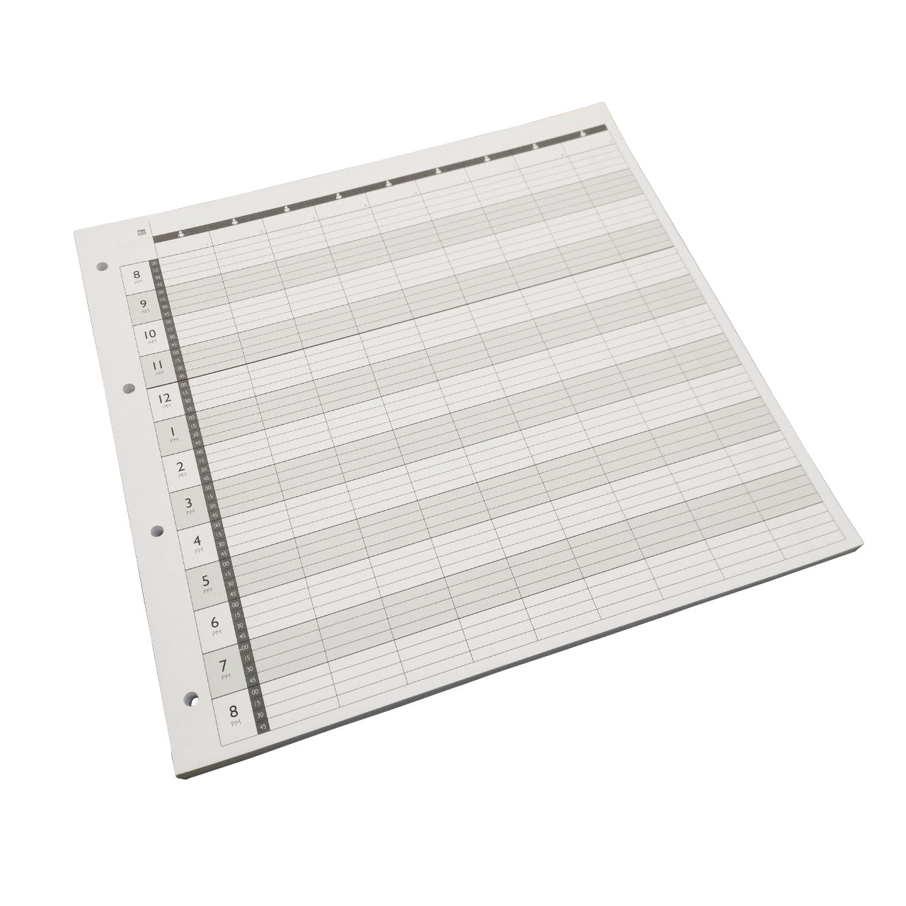 Agenda Loose Leaf Appointment Refill Pages 9 Column 4 Hole LL9 (100)