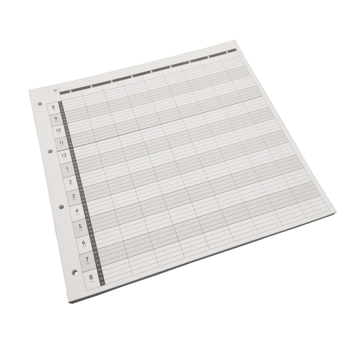 Agenda Loose Leaf Appointment Refill Pages 9 Column 4 Hole LL9 (100)