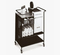 Takara Belmont Spa Mist II Black Trolley Version