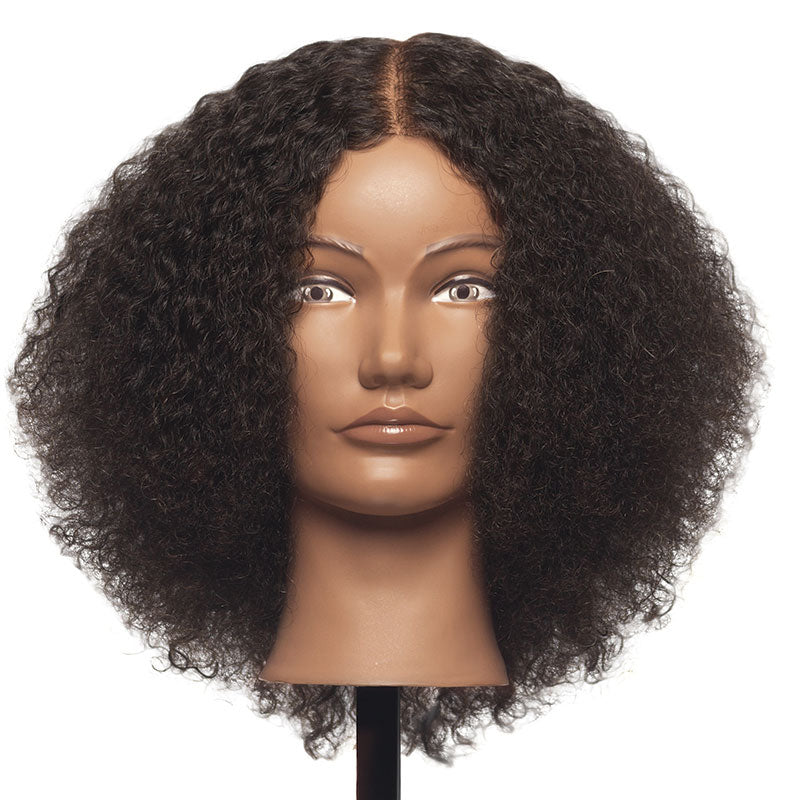 Pivot Point Maya Training Head