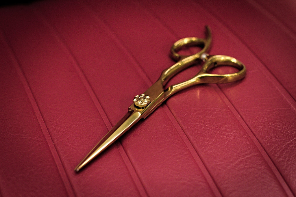 Vincere EGO Scissors 6"