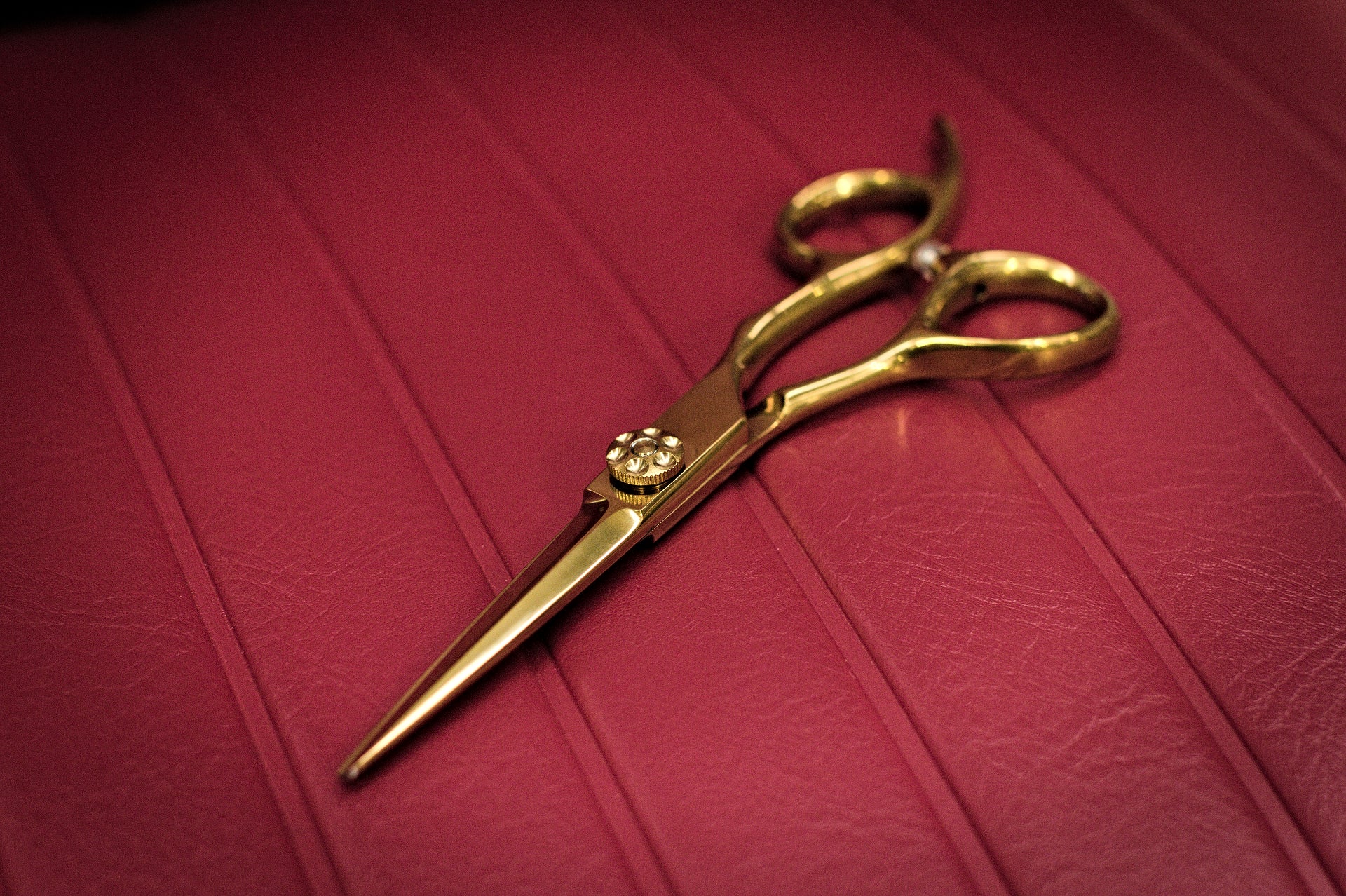 Vincere EGO Scissors 6"