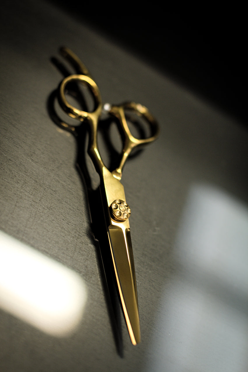 Vincere EGO Scissors 6"