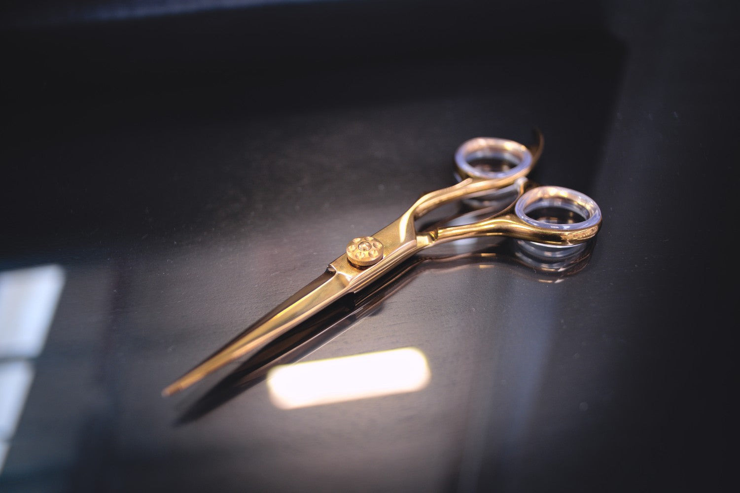 Vincere EGO Scissors 5.5"
