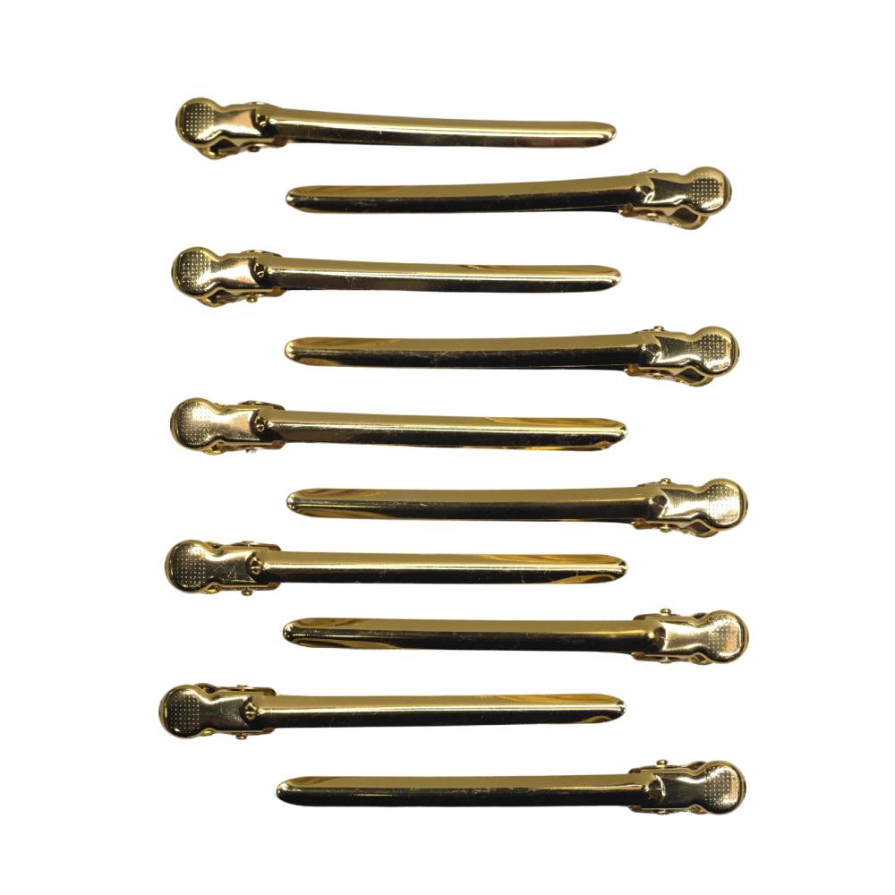 Hair Theory Gold Sectioning Clips (10)