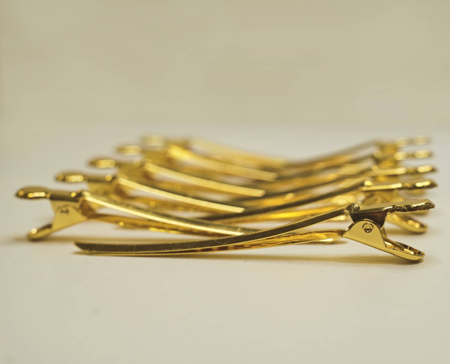 Hair Theory Gold Sectioning Clips (10)