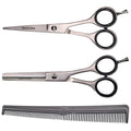C&S Silver Scissors & Thinning Set Sand Finish 5.5"