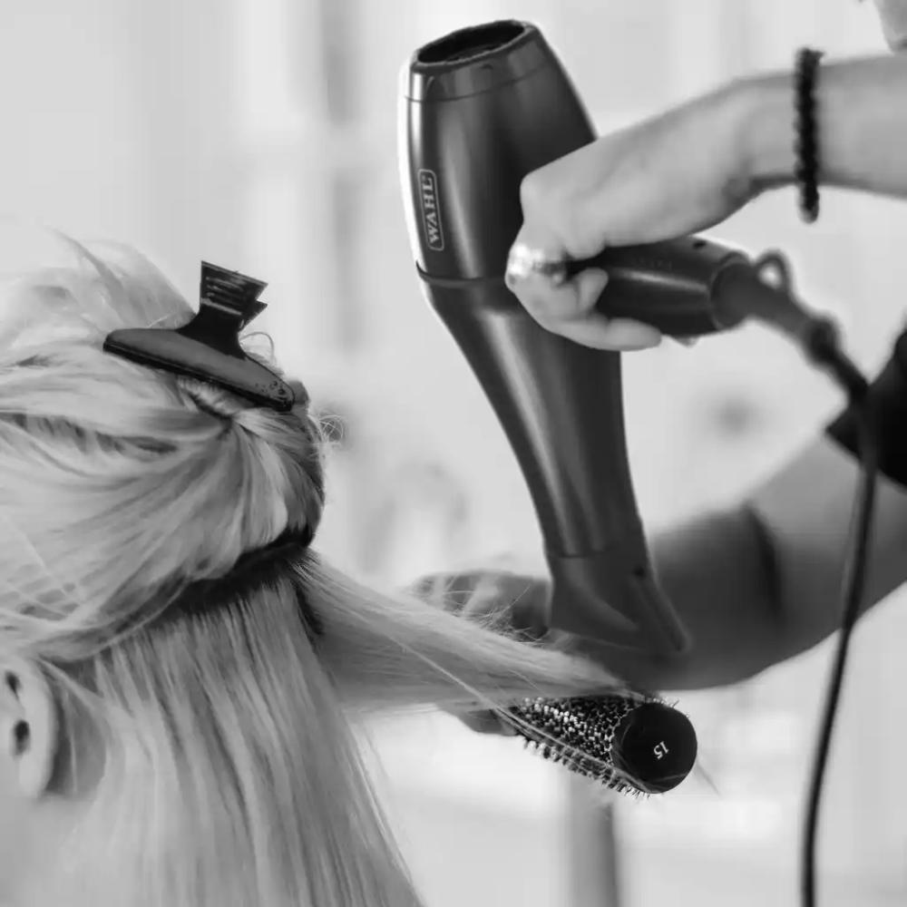 Wahl Pro Slim Style Dryer