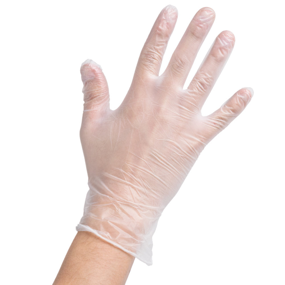 Vinyl Disposable Gloves Powdered - Large (100)