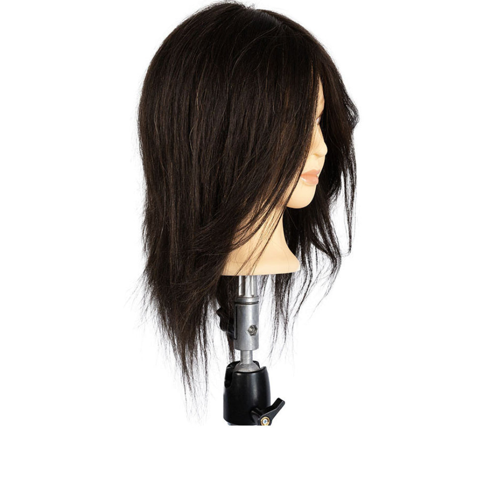 Exalto Kylie Training Head