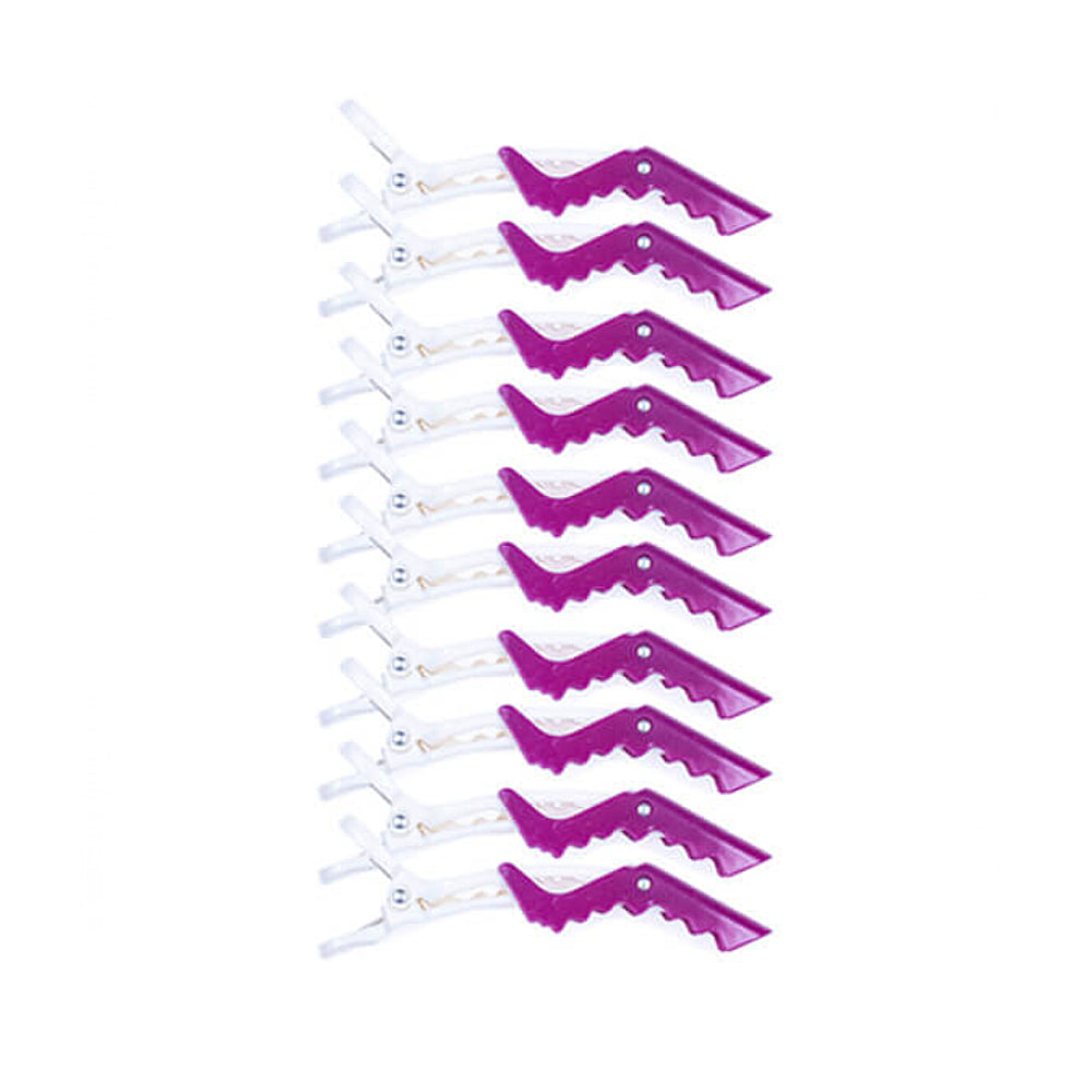 SPL Hairdressing Clips (30)