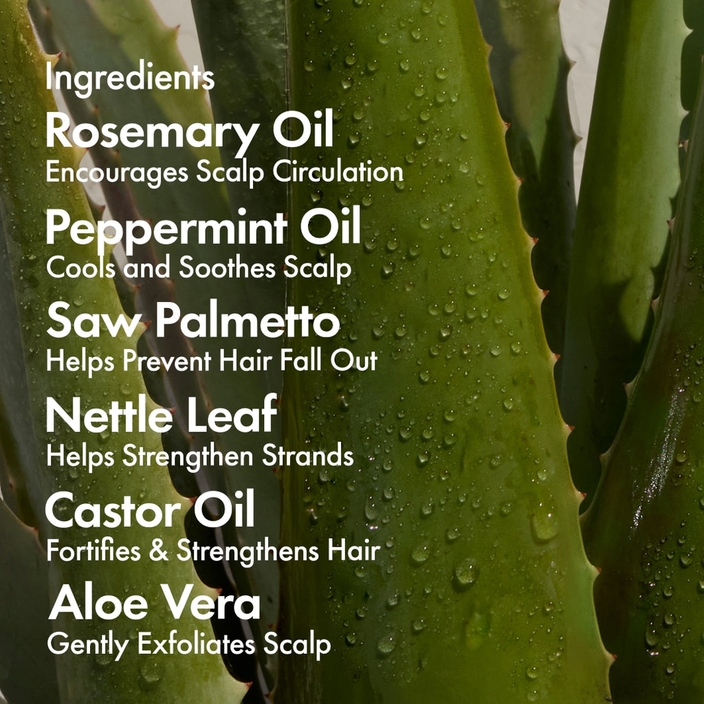 BondiBoost Elixir Hair Oil 125ml