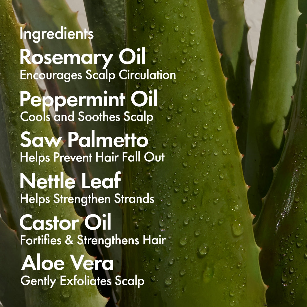 BondiBoost Elixir Hair Oil 125ml