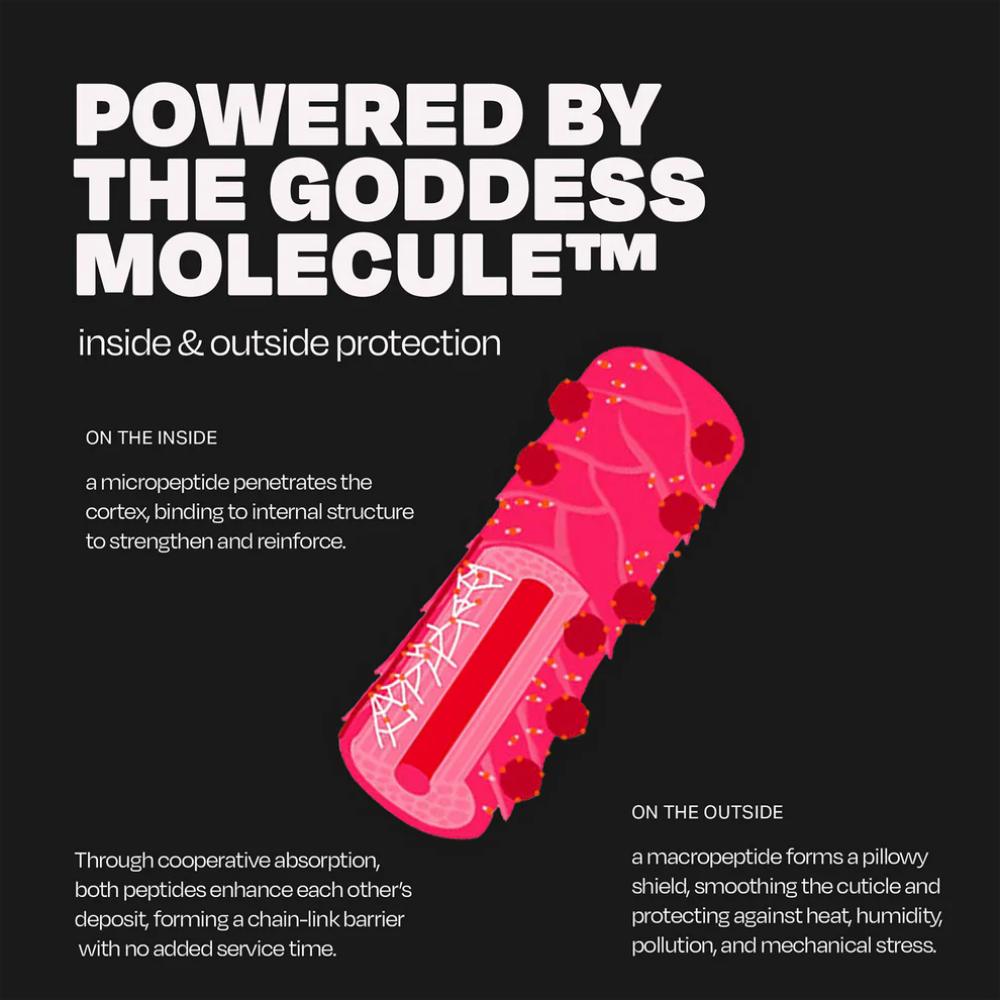 Goddess Maintenance Company Armor BioProtection Kit