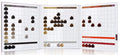 Montibello Cromatone Colour Chart