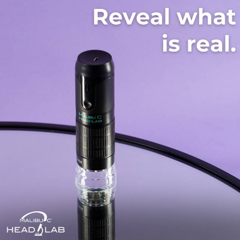Malibu C Head Lab Intro Kit