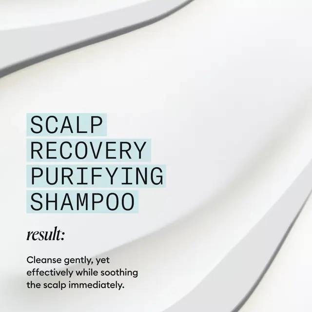 Nioxin Scalp Recovery Purifying Shampoo for Anti-Dandruff 200ml