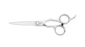 Joewell AR Semi Offset Scissor 6"