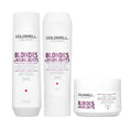 Goldwell Dualsenses Blondes & Highlights A-Y Shampoo 250ml, Conditioner 200ml and 60sec Treatment 200ml