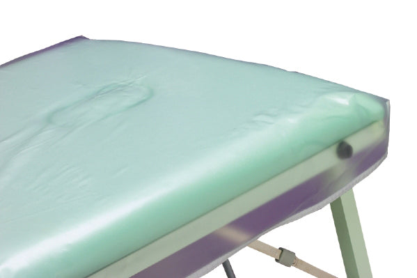 Hive Professional Deluxe PVC Couch Ultimate Protection Cover
