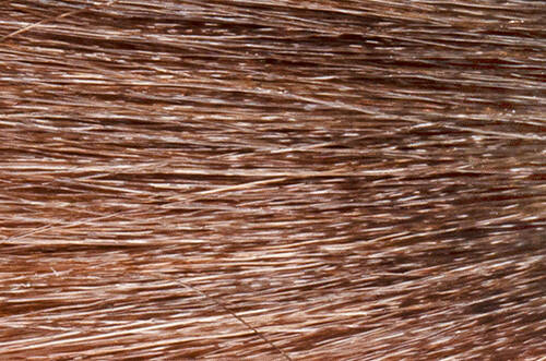 Pulp Riot Liquid Demi Hair Color 60ml
