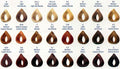 Revlon Multibrand Color Chart