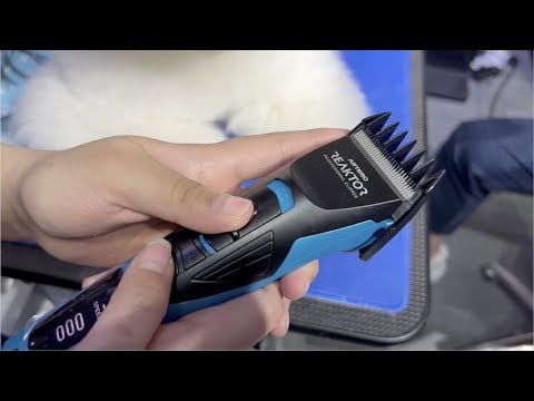 Artero Reaktor Clipper