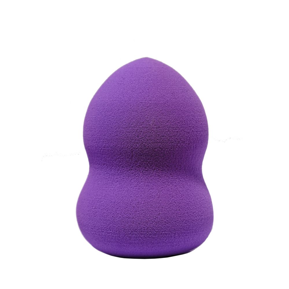 Anina Foundation Sponge