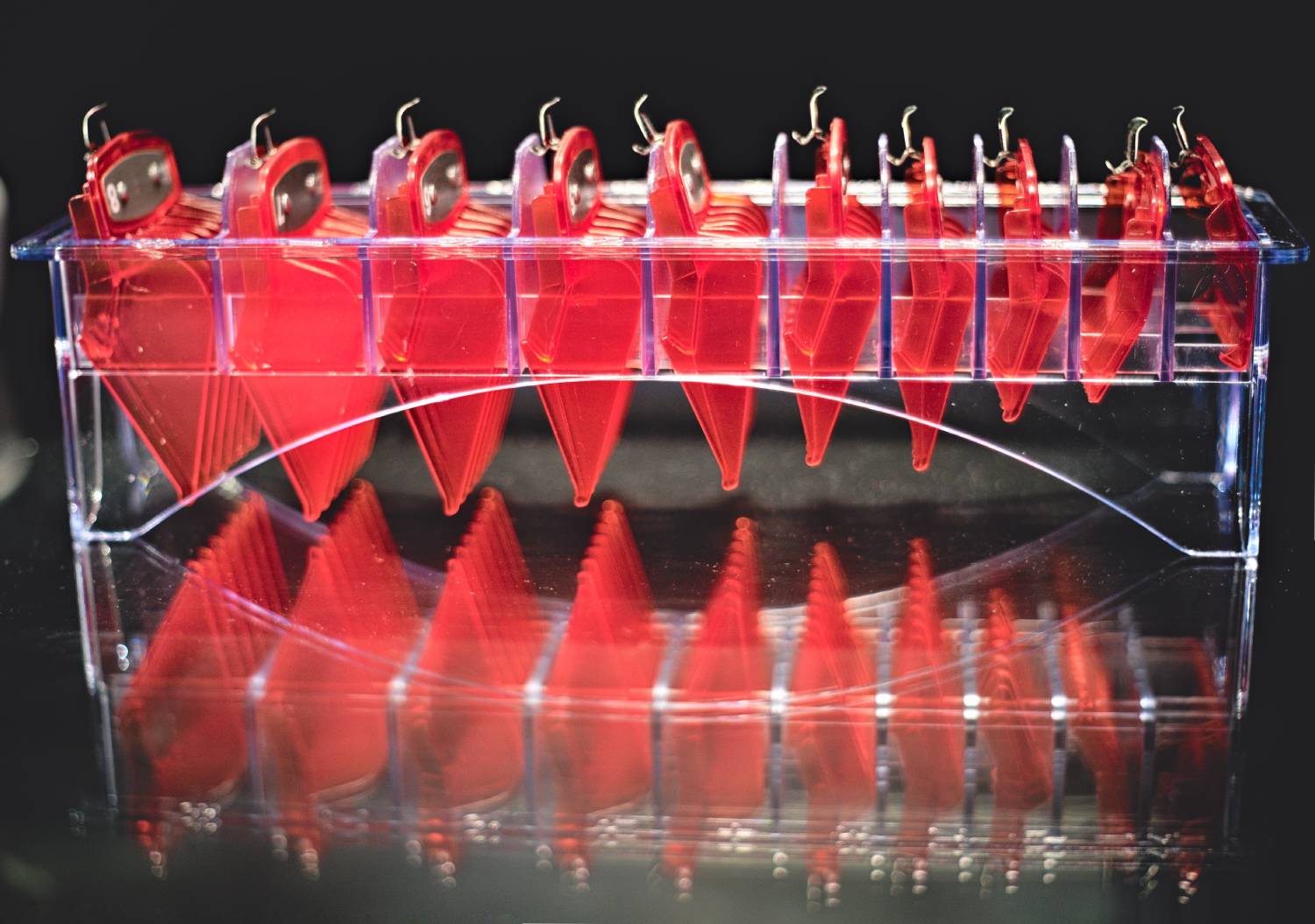 BarberStyle Transparent Red Premium Guards