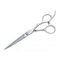 Passion Stainless Steel Zeta Scissor 6.5"