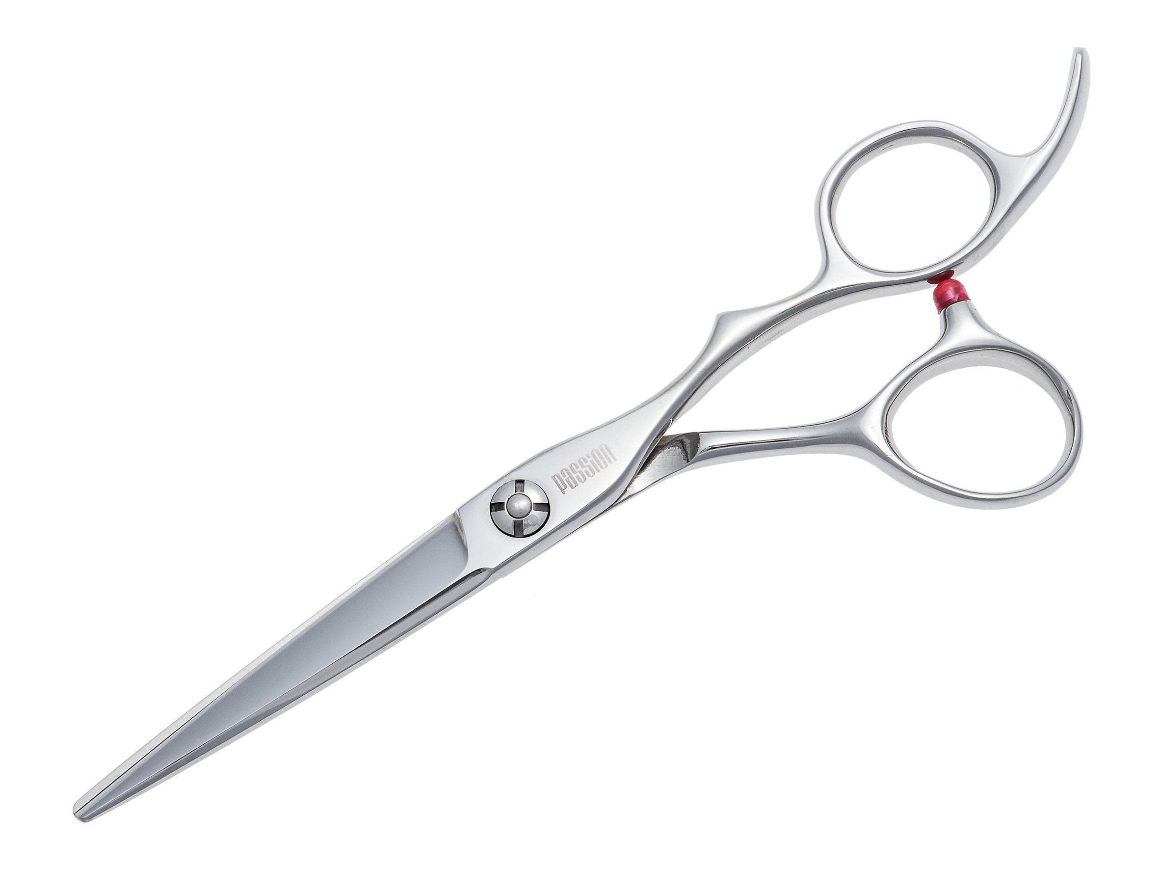Passion Stainless Steel Zeta Scissor 5.5"
